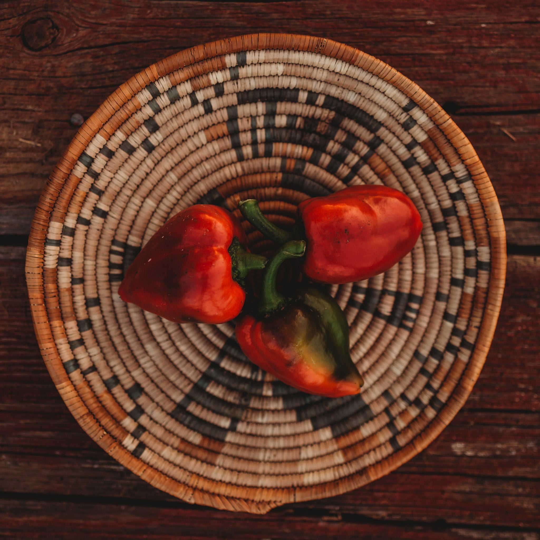 Lesya Sweet Pepper - Thresh Seed Co.