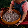 Lina Sisco's Bird Egg Bush Shelling Bean