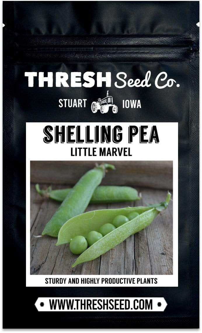 Little Marvel Shelling Pea Seeds