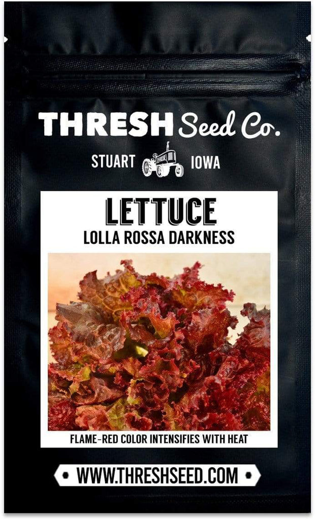 Lolla Rossa Darkness Lettuce Seeds