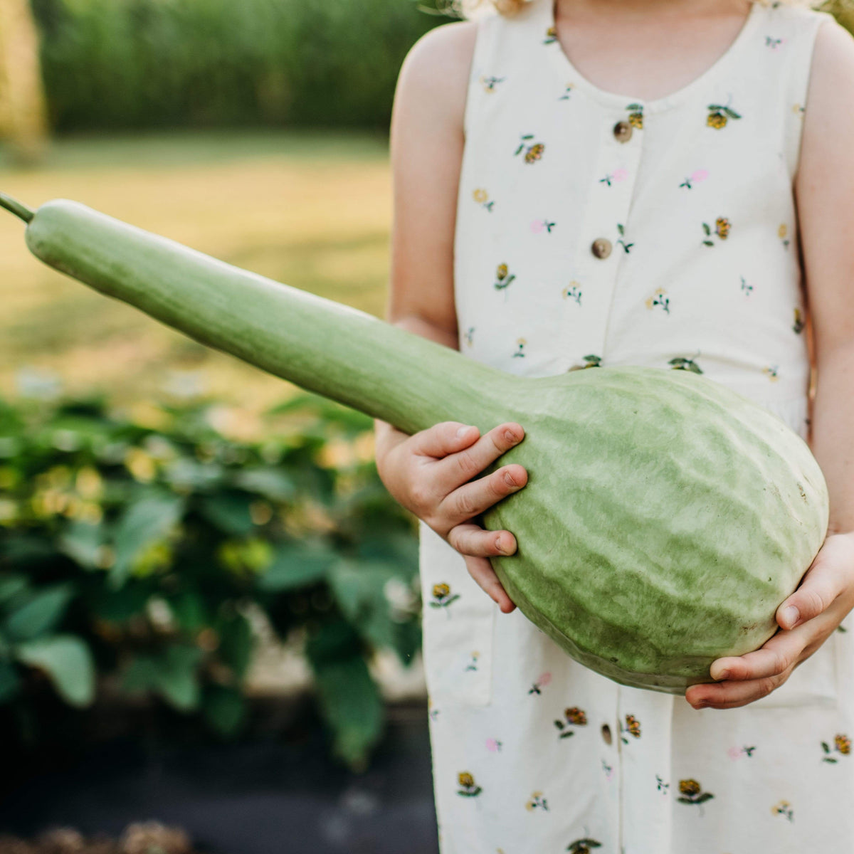 Long Handle Dipper Gourd