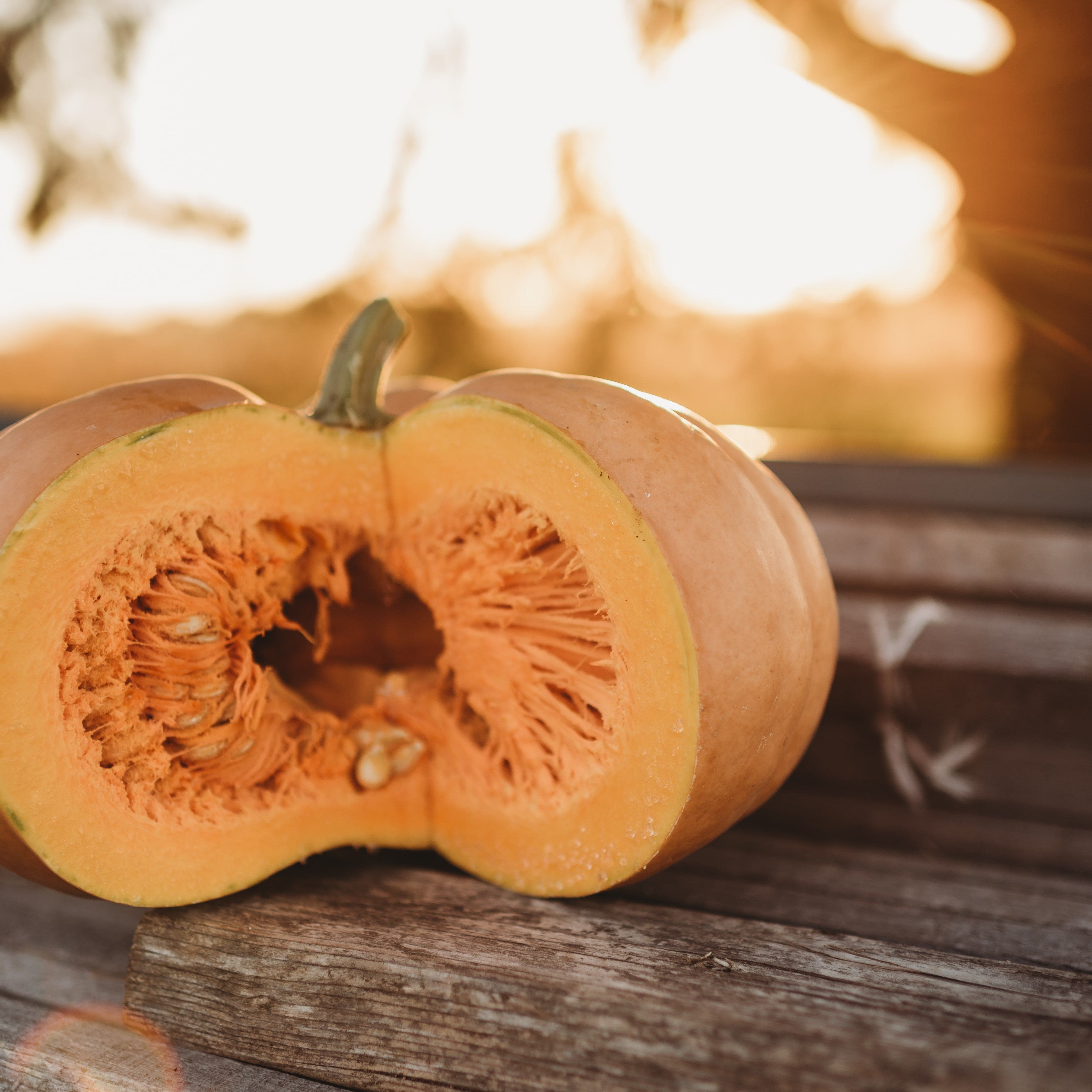 Long Island Cheese Squash Seeds