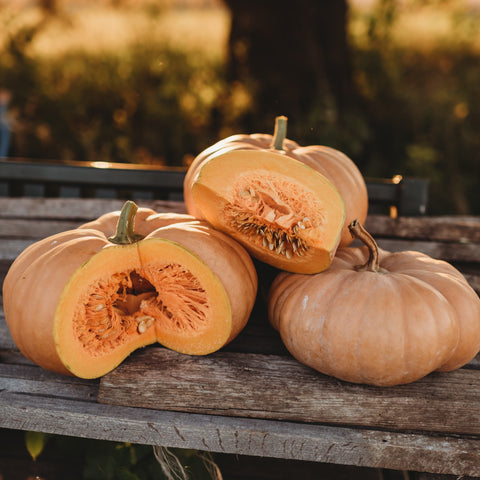 Long Island Cheese Squash Seeds