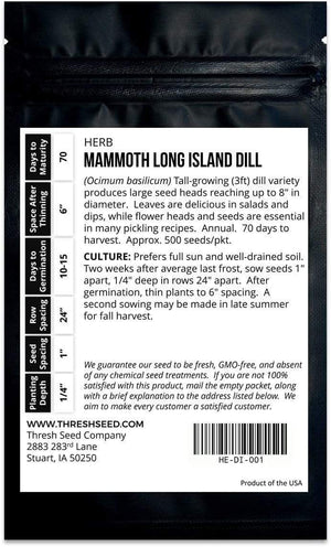 Mammoth Long Island Dill
