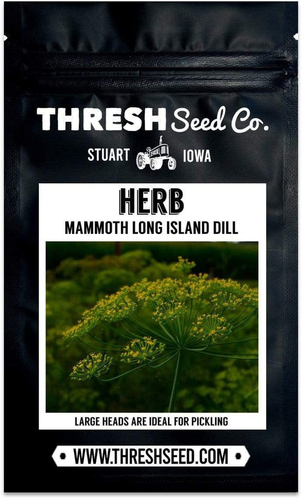 Mammoth Long Island Dill Seeds