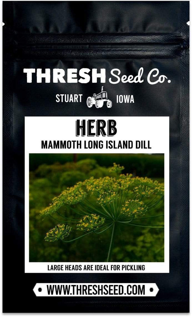 Mammoth Long Island Dill Seeds