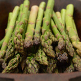 Mary Washington Asparagus Seeds