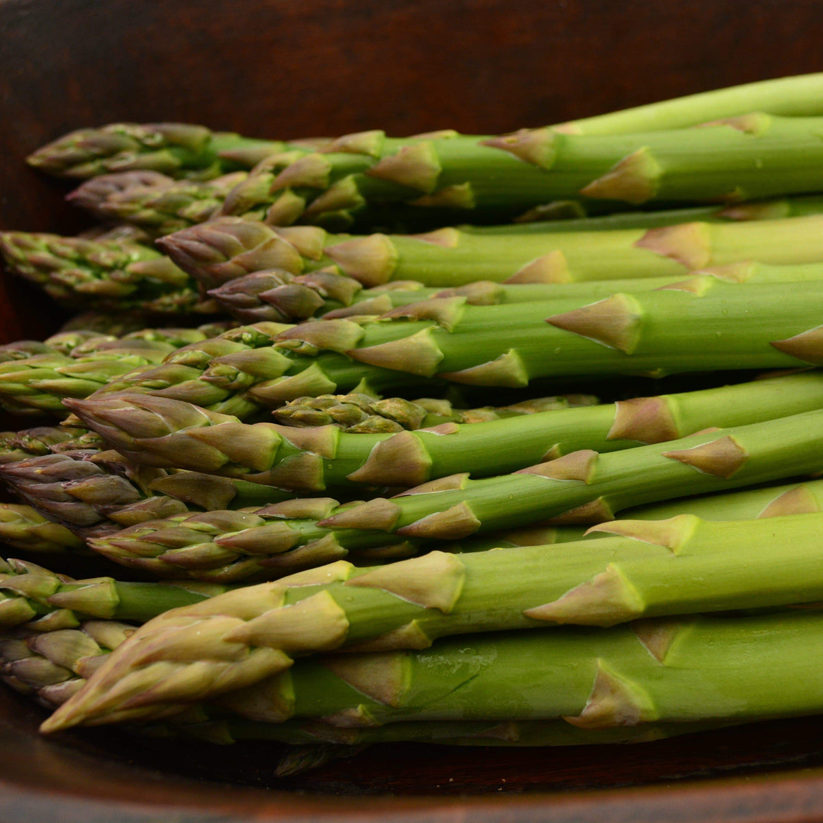 Mary Washington Asparagus