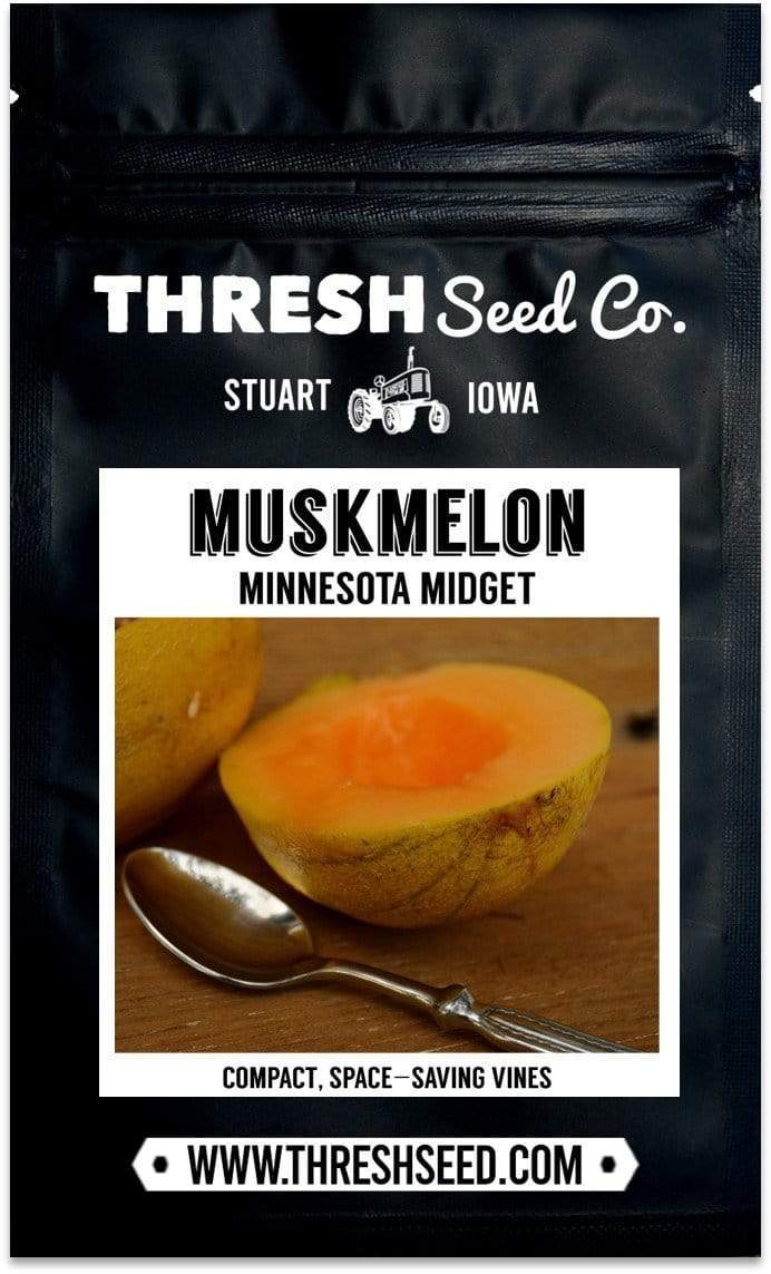 Minnesota Midget Muskmelon