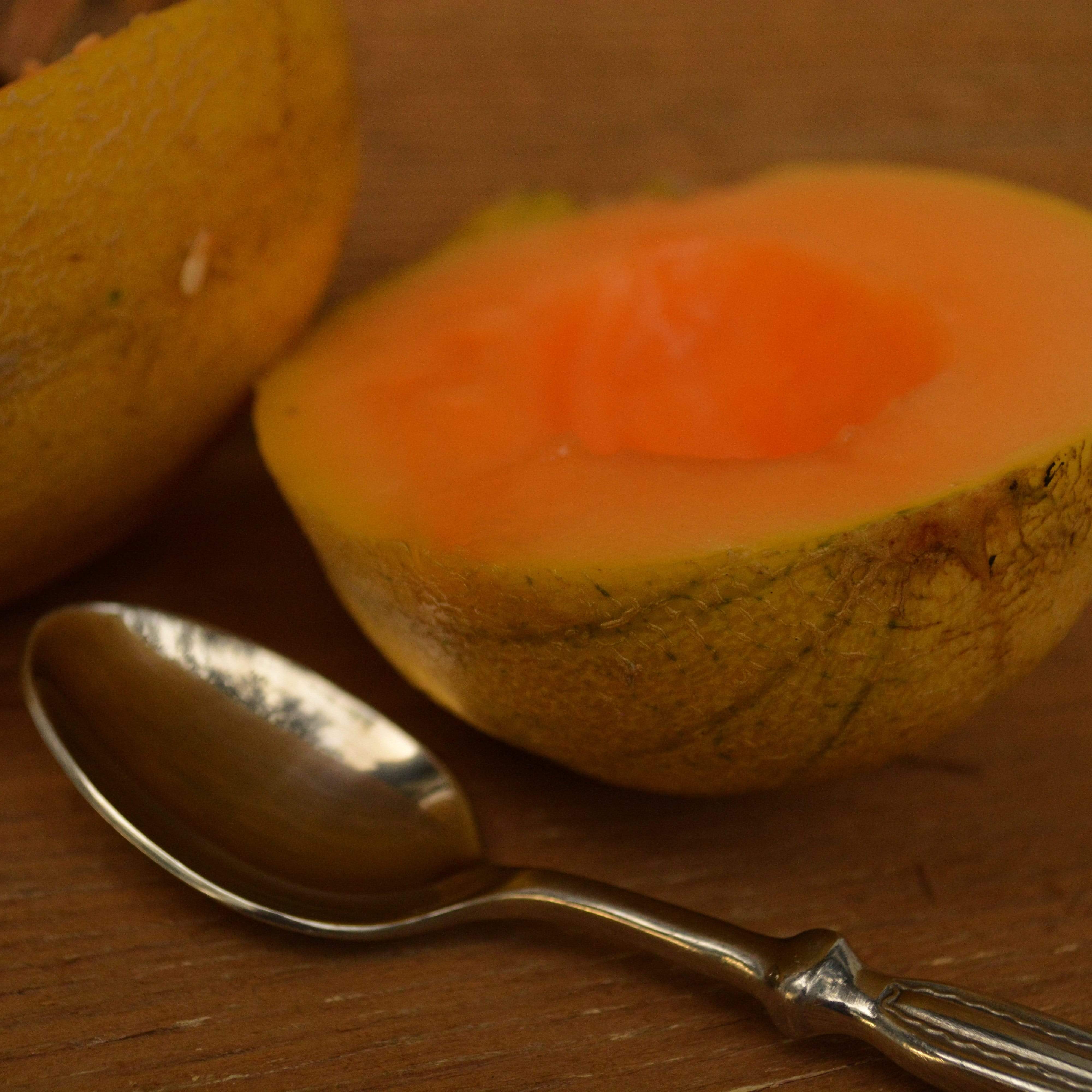 Minnesota Midget Muskmelon Seeds