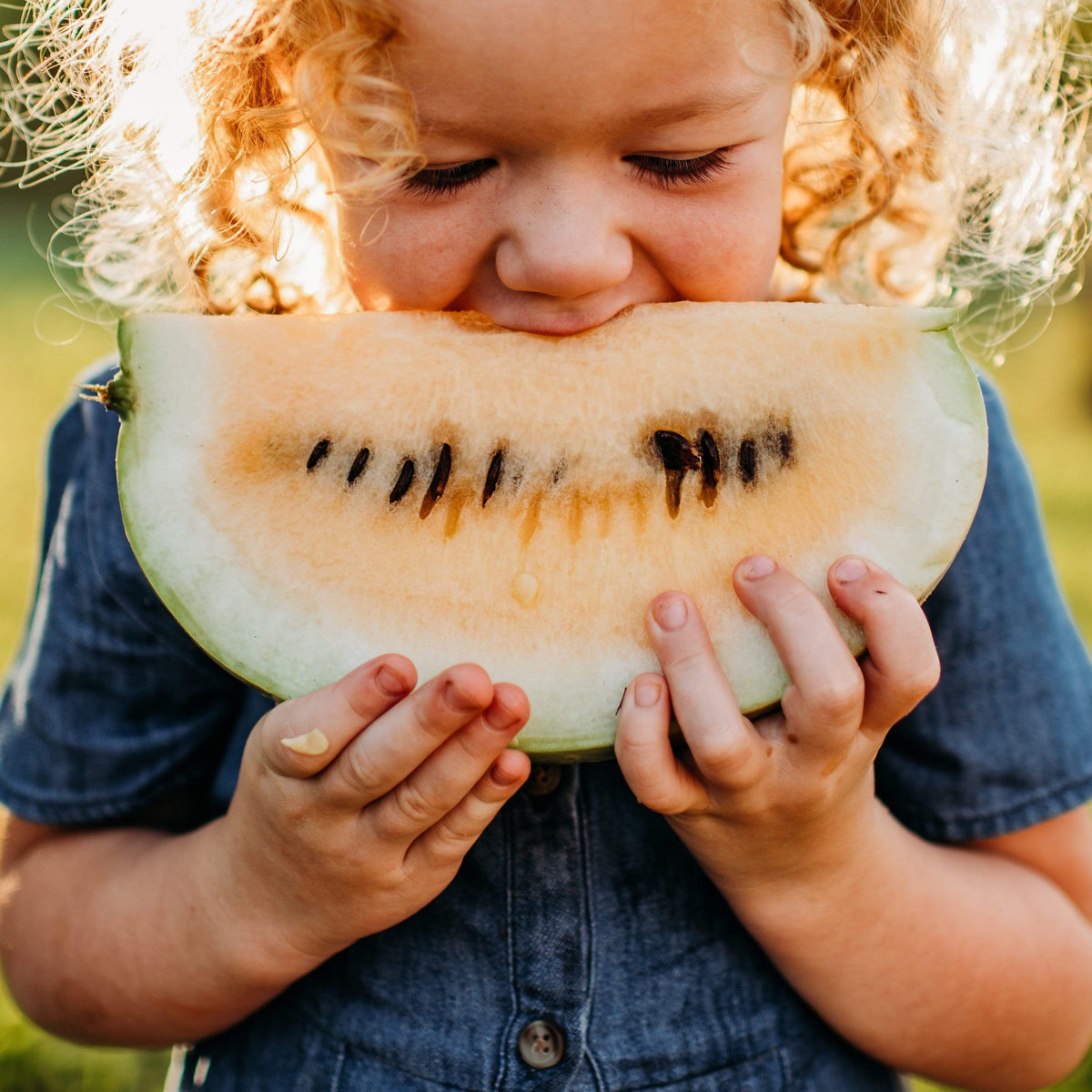 Missouri Heirloom Watermelon