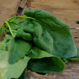 Monstrueux de Viroflay Spinach Seeds