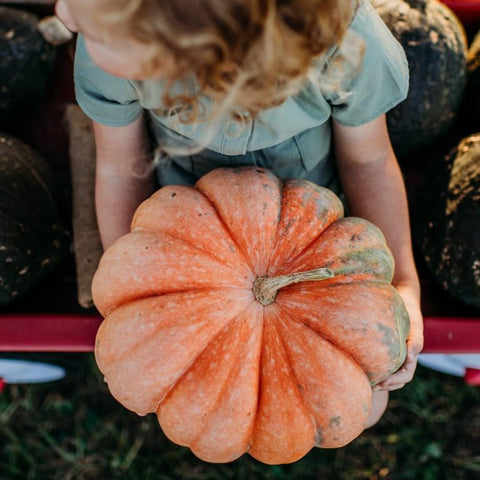 Moranga Pumpkin Seeds