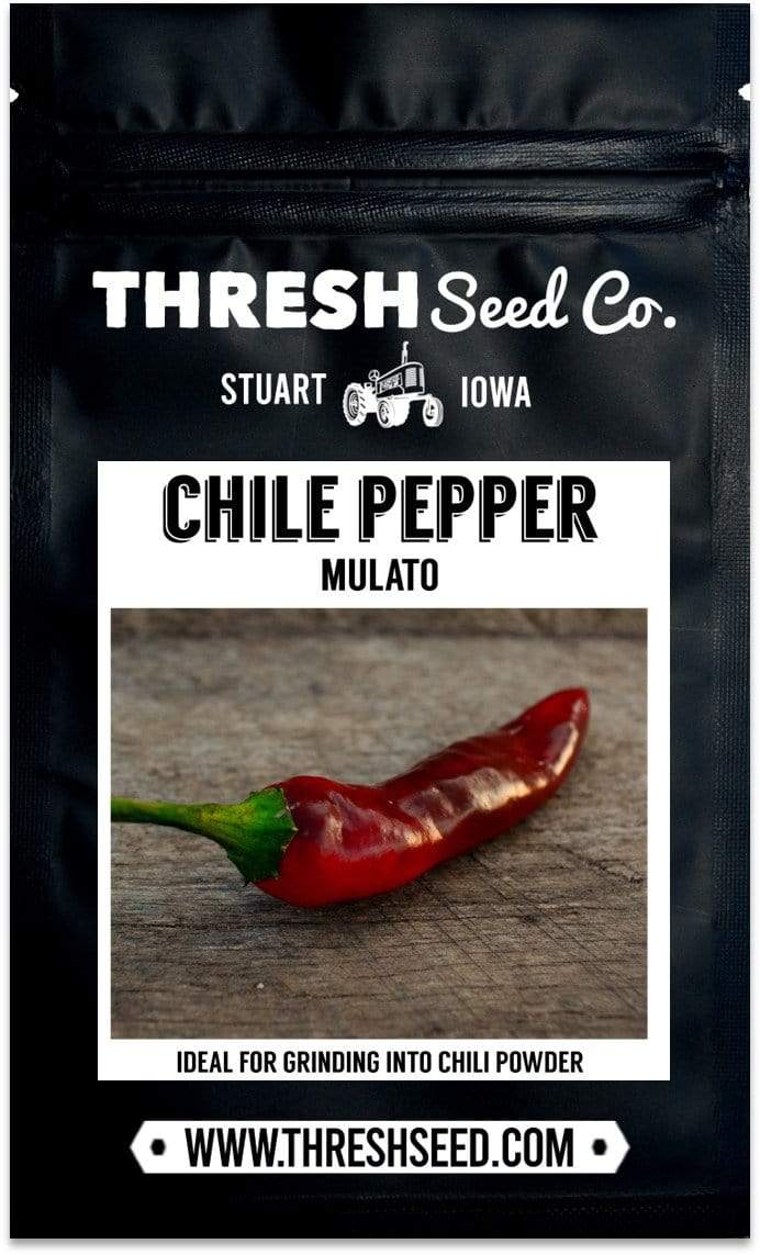 Mulato Chile Pepper Seeds