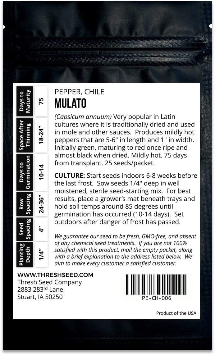 Mulato Chile Pepper Seeds