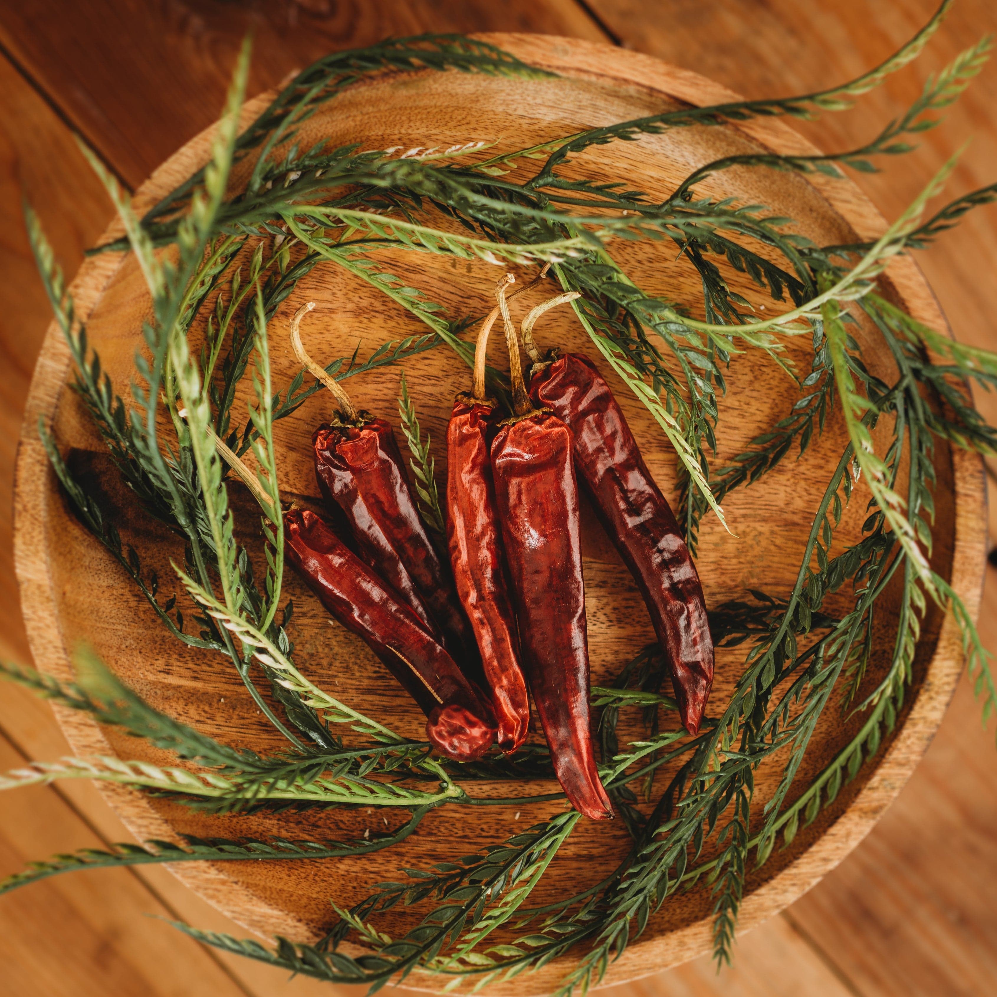 Mulato Chile Pepper Seeds