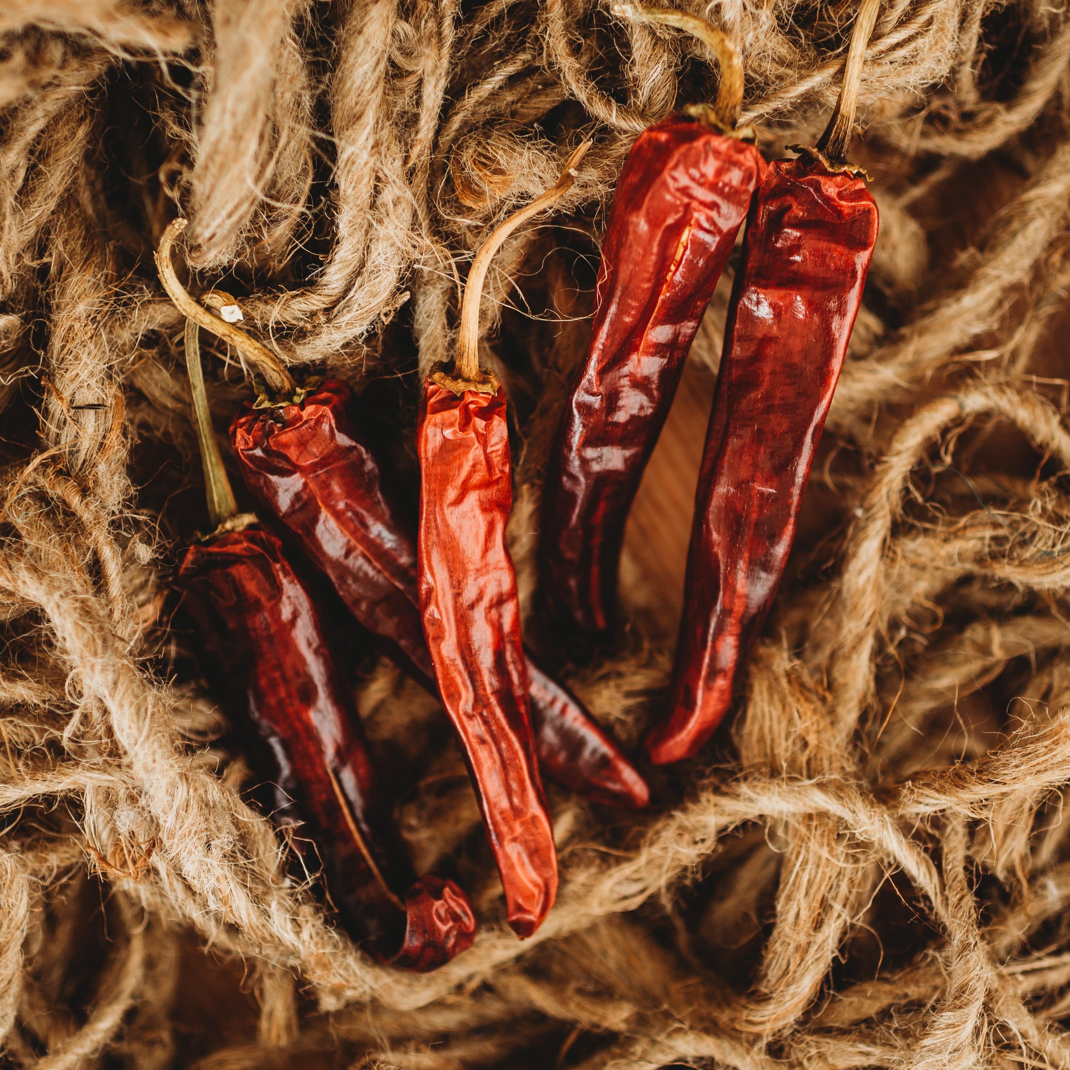 Mulato Chile Pepper Seeds