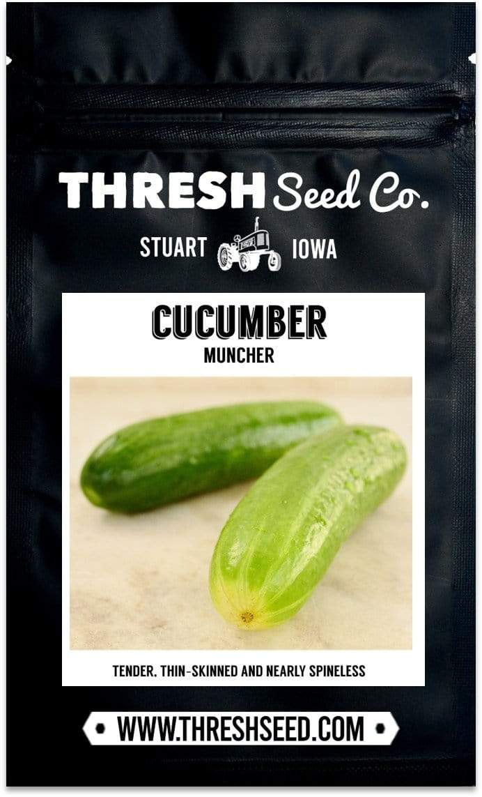 Muncher Cucumber Seeds