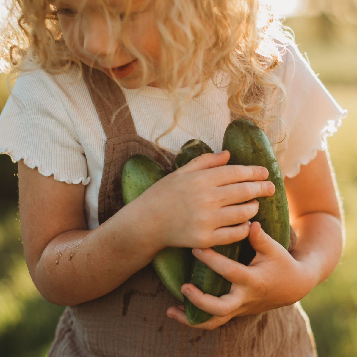 Muncher Cucumber