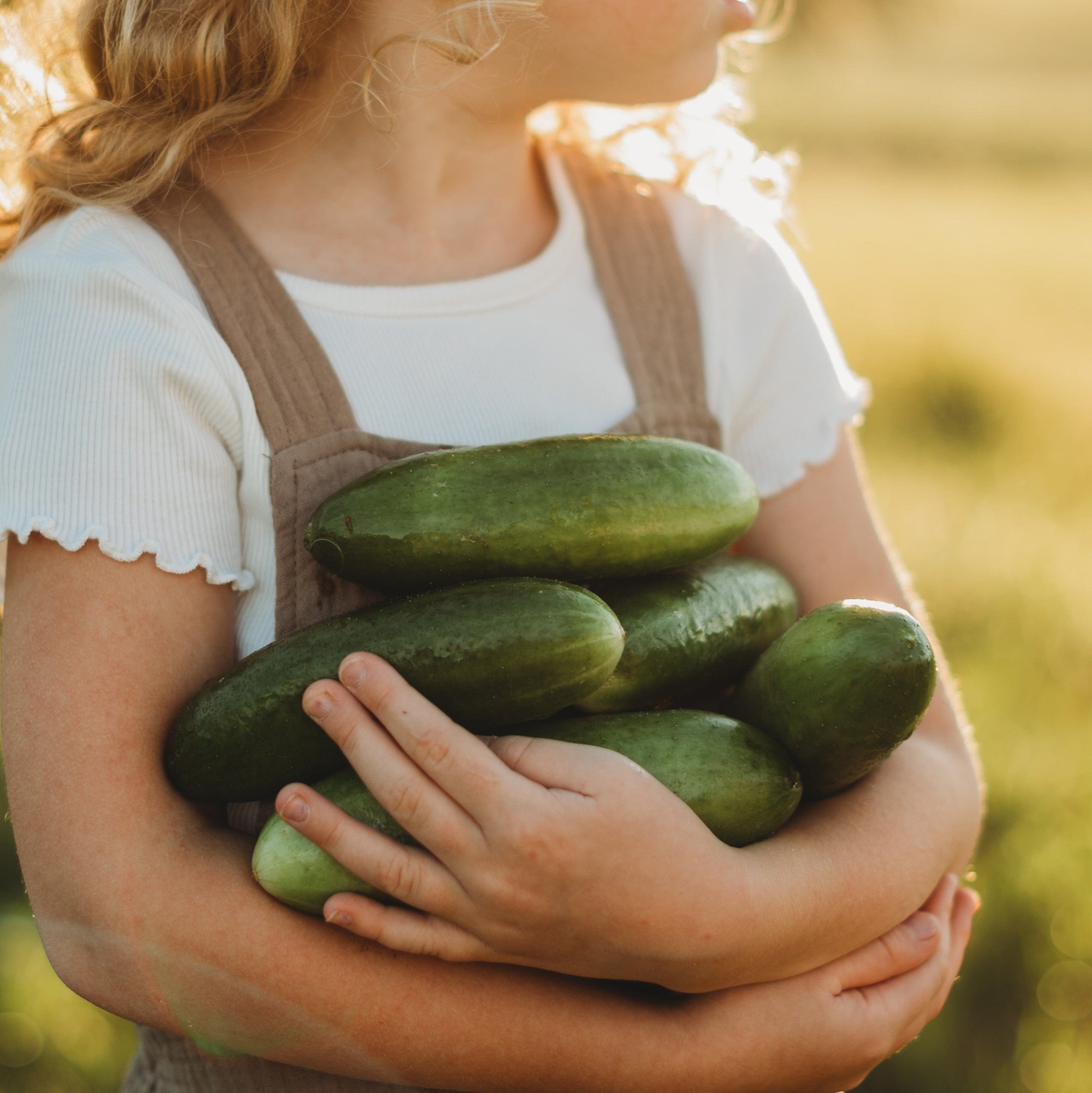 Muncher Cucumber