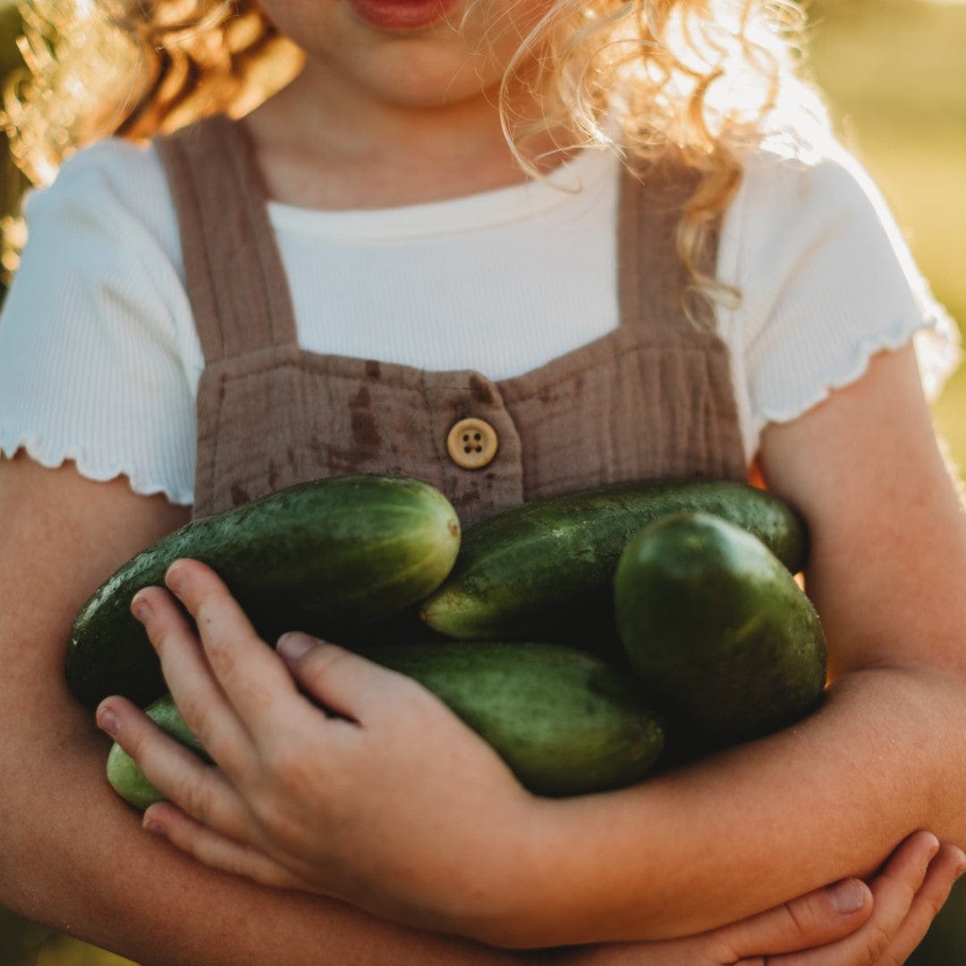 Muncher Cucumber