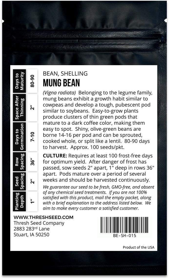 Mung Bean Seeds