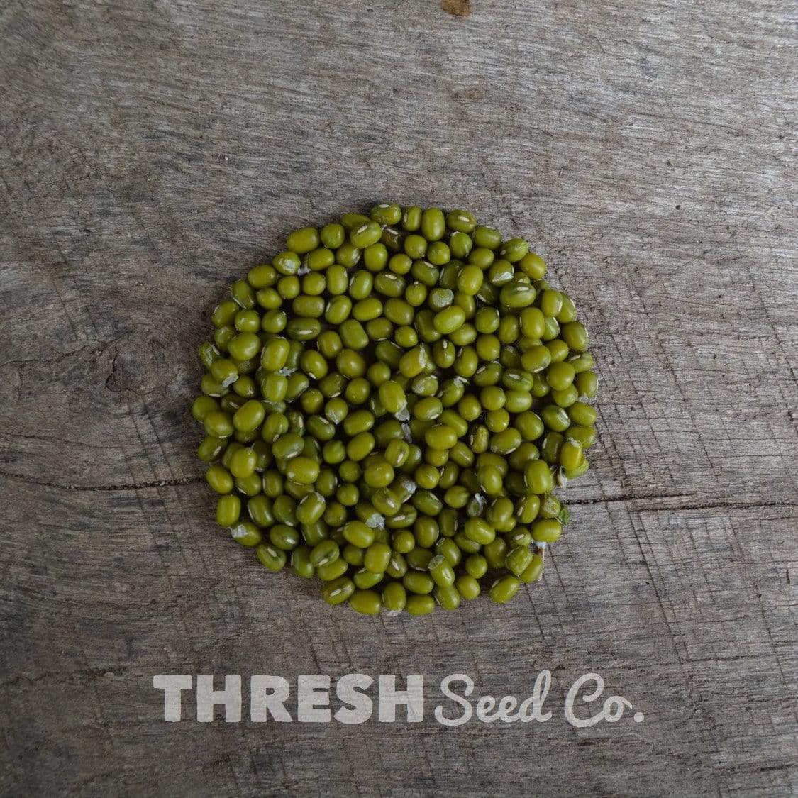 Mung Bean Seeds