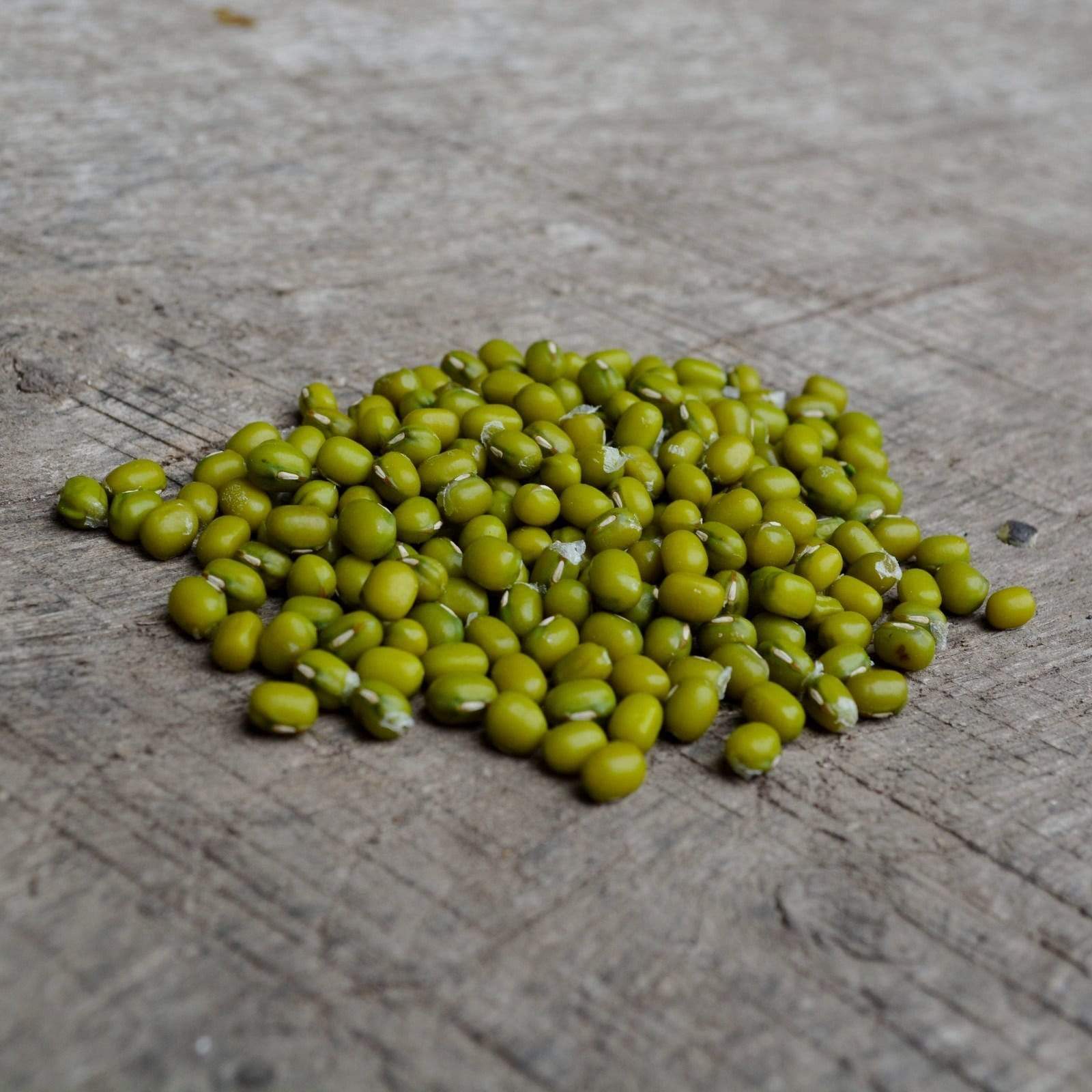 Mung Bean Seeds