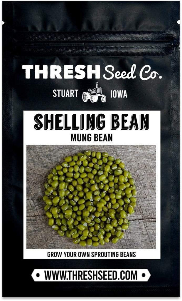 Mung Bean Seeds