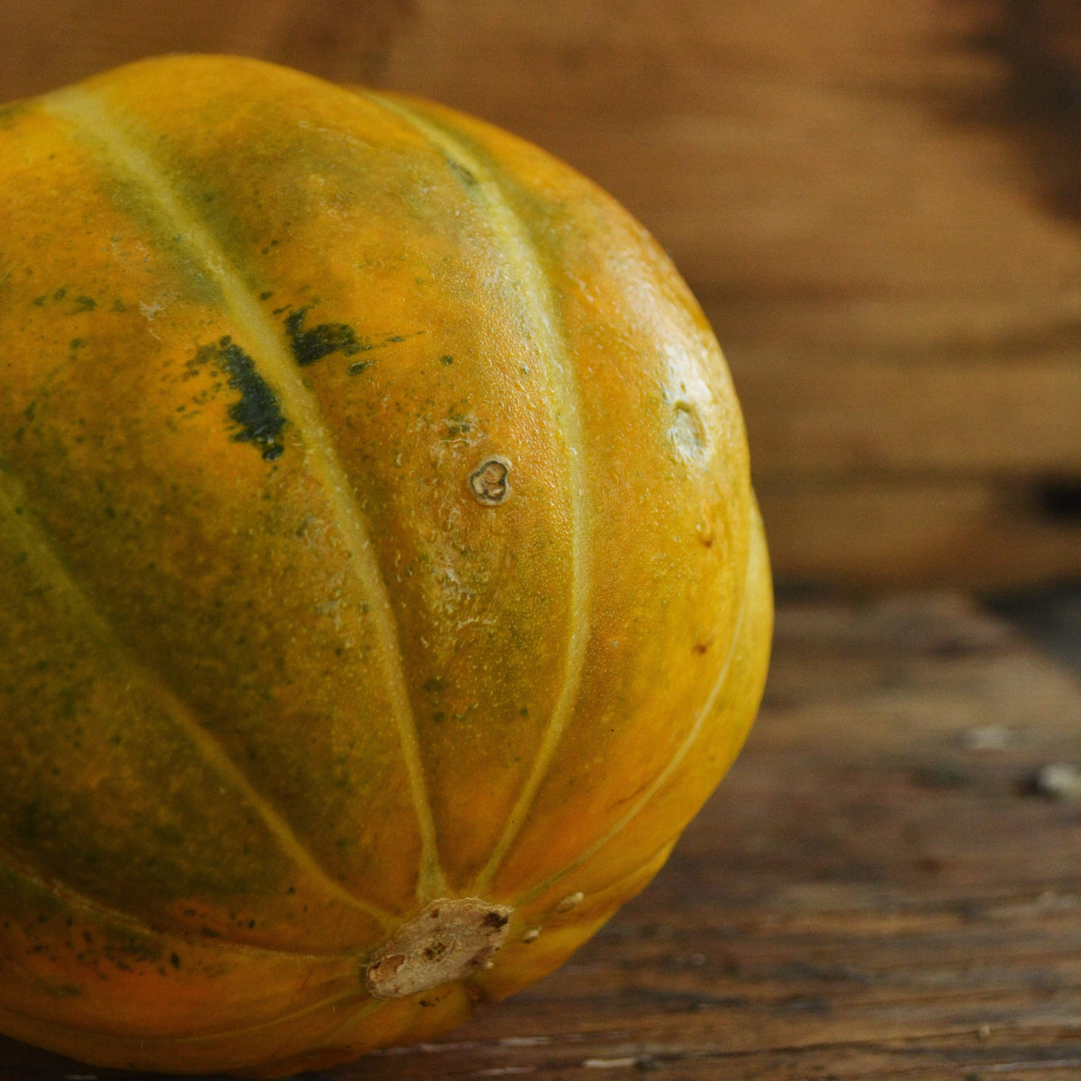 Noir des Carmes French Cantaloupe