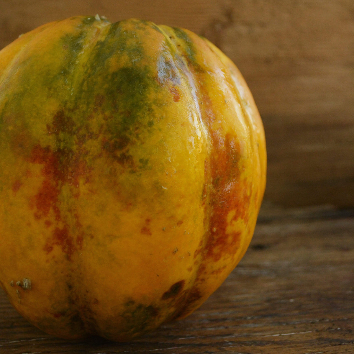 Noir des Carmes French Cantaloupe