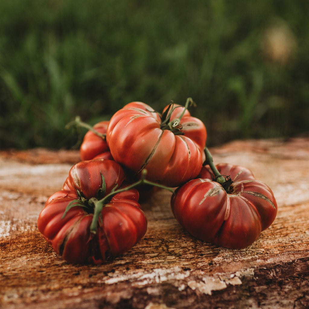 Noire de Coseboeuf Ribbed Purple Tomato Seeds