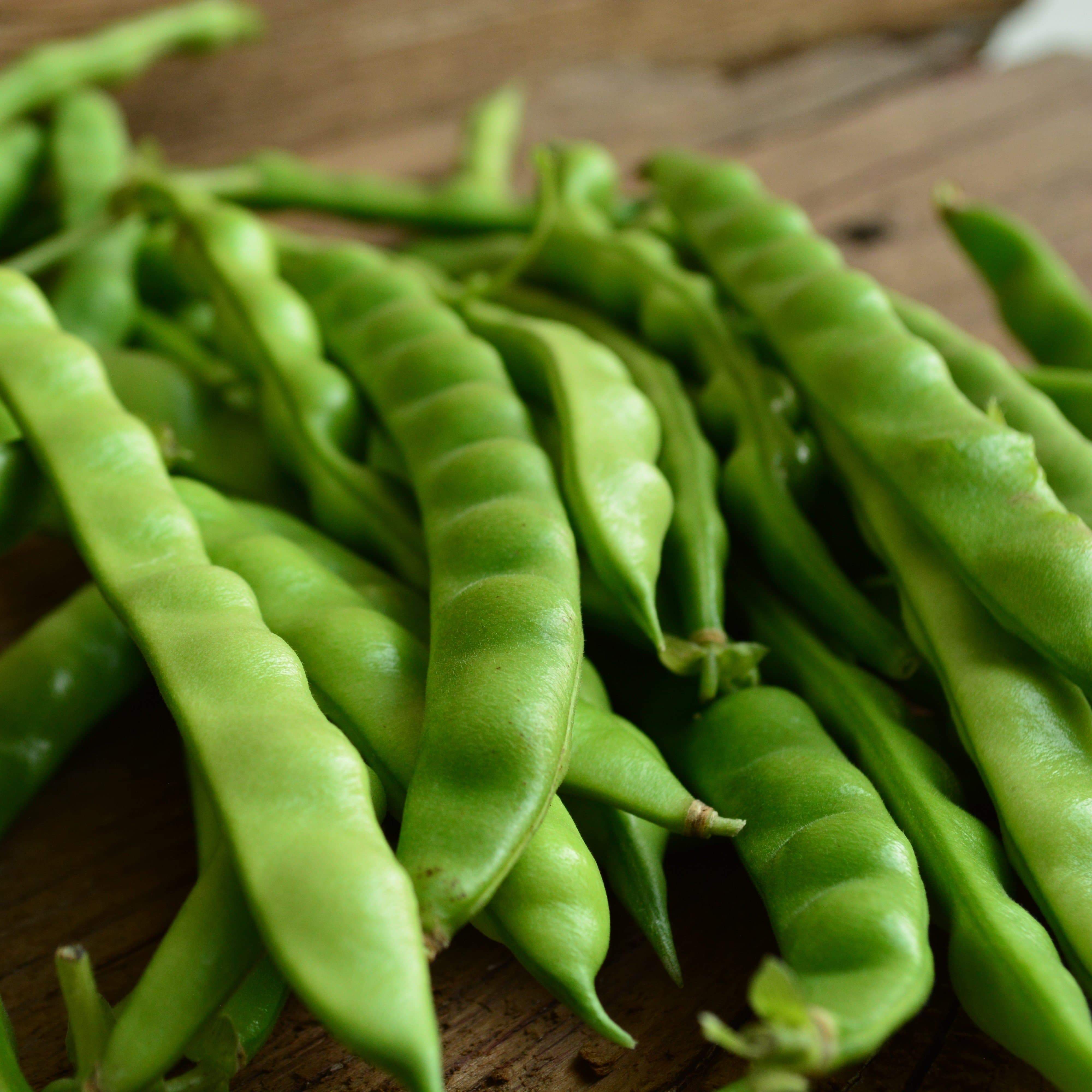 North Carolina Greasy Pole Bean Seeds