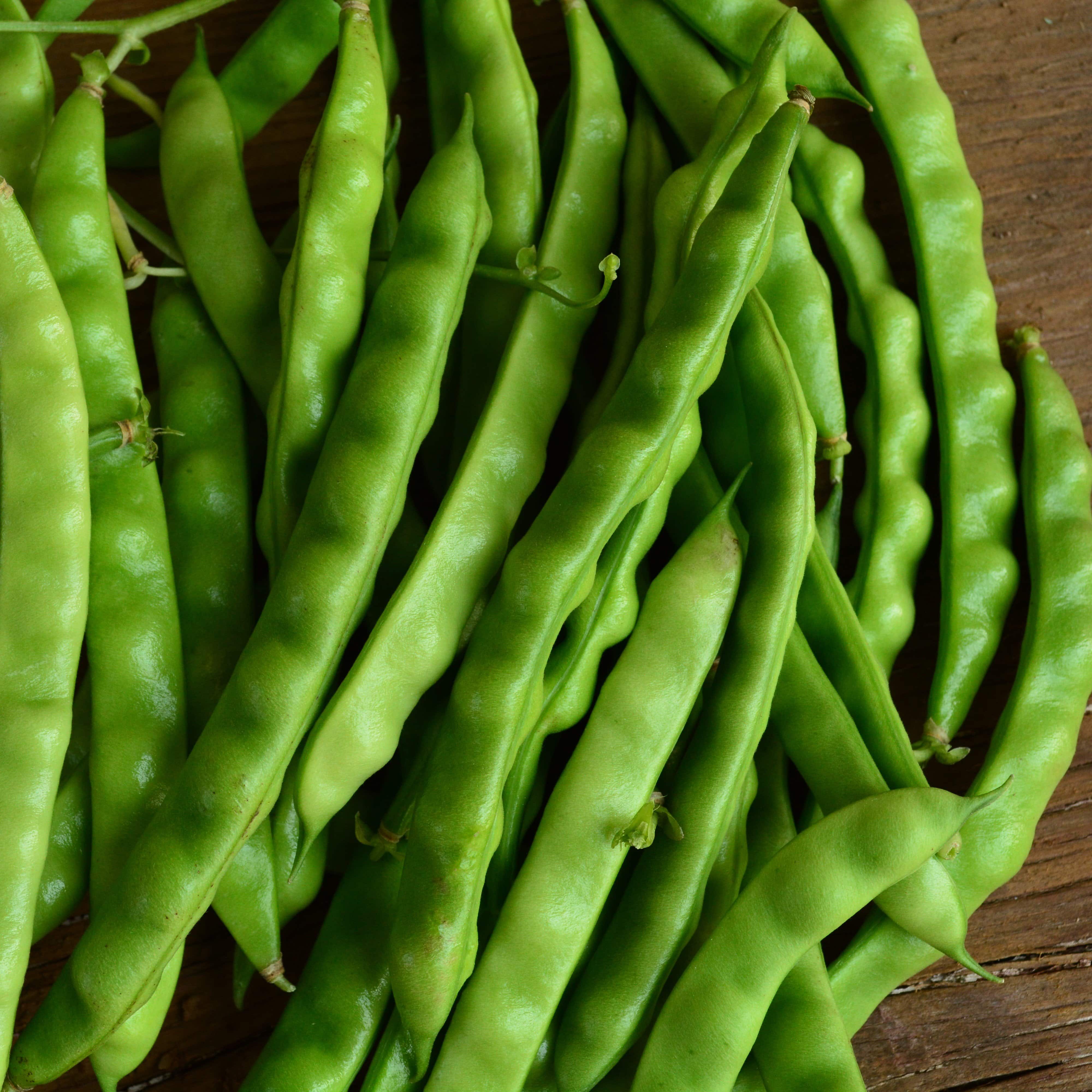 North Carolina Greasy Pole Bean Seeds