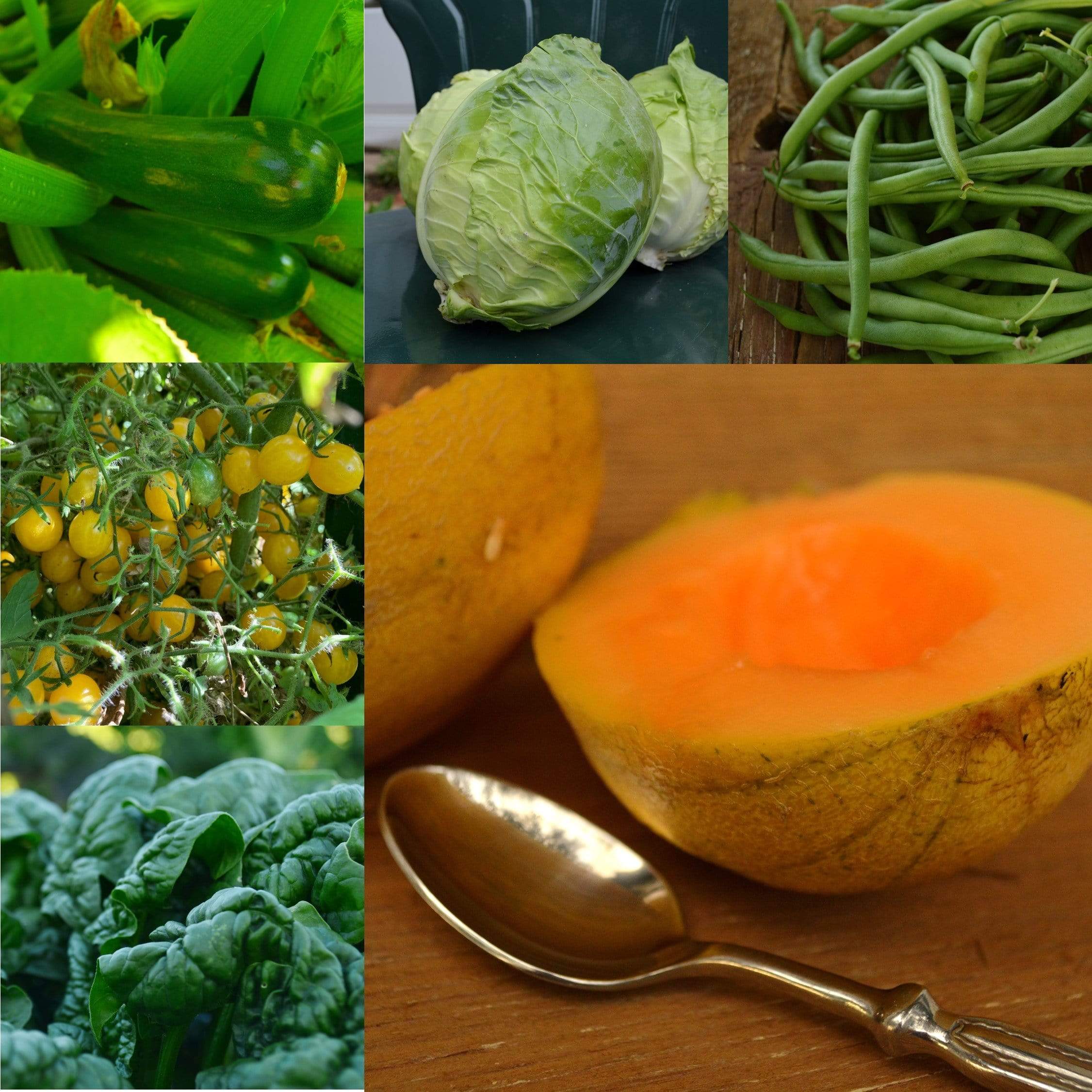Northern Garden Collection Seeds