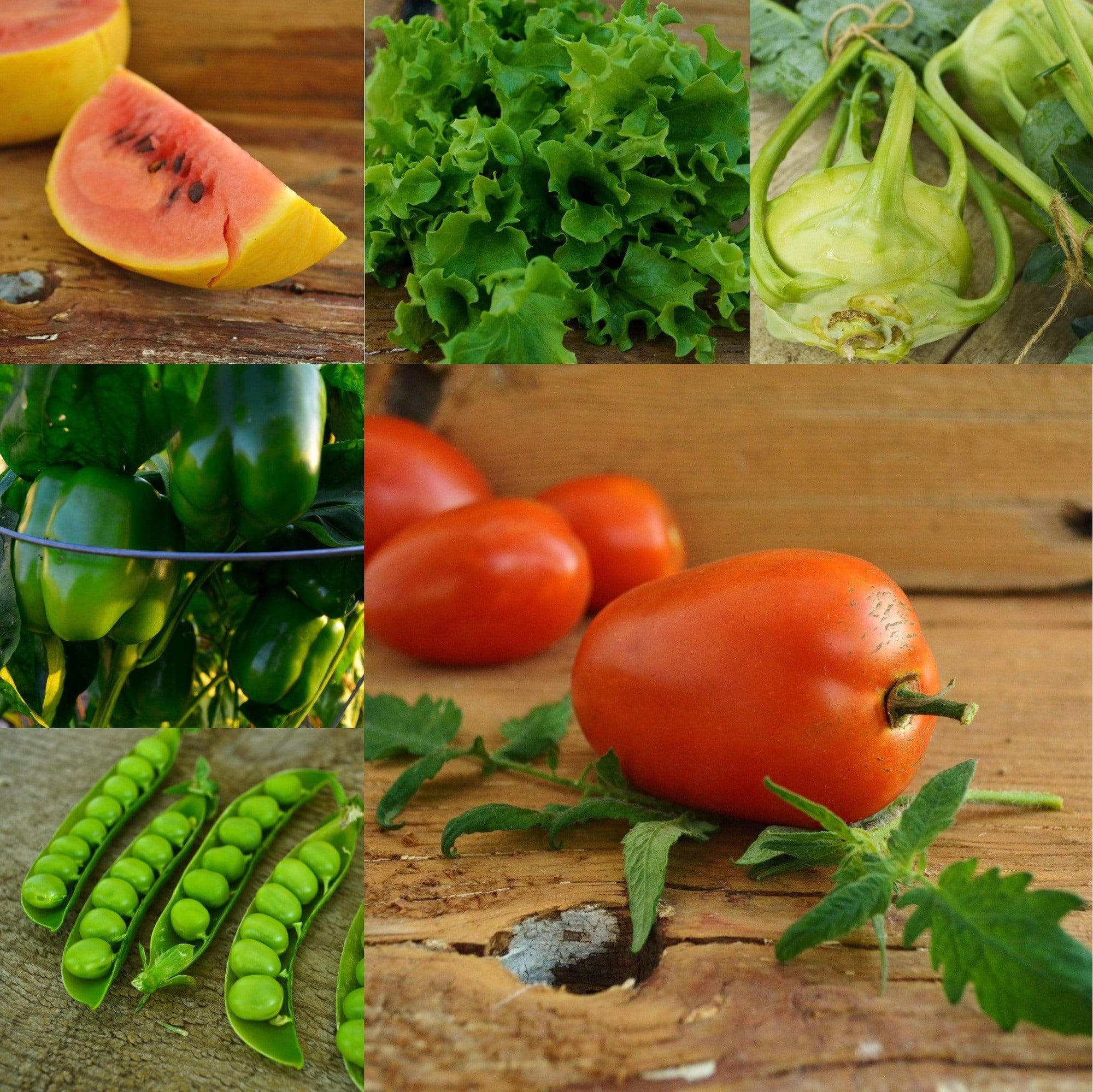 the garden corner seeds Northern Garden Collection