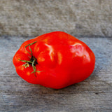 Opalka Tomato Seeds