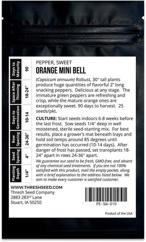 Orange Mini Bell Sweet Pepper