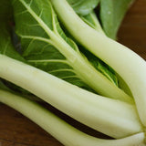 Pak Choi White Stem (Bok Choy) Seeds