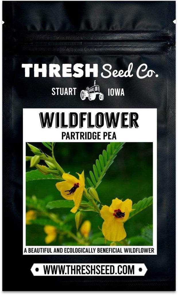 Partridge Pea Seeds