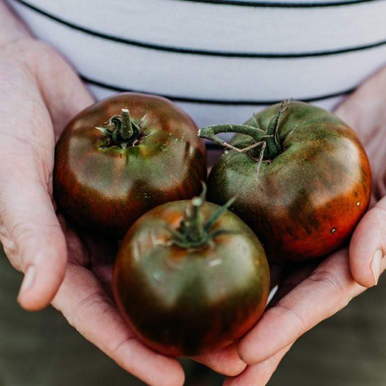 Paul Robeson Heirloom Tomato