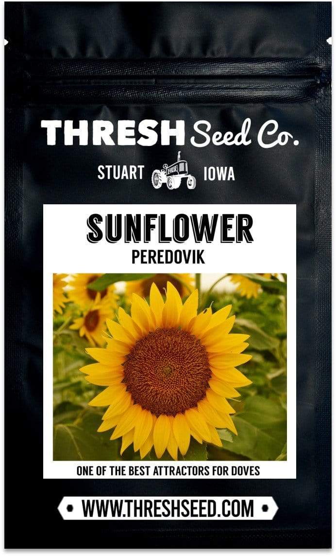 Peredovik Sunflower Seeds