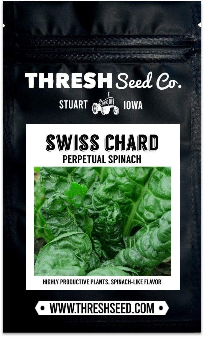 Perpetual Spinach Swiss Chard