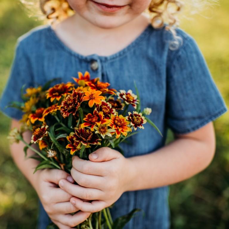 Persian Carpet Mexican Zinnia Seeds