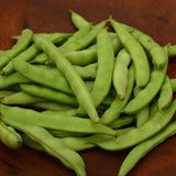 Pine Mountain Greasy Bean Seeds