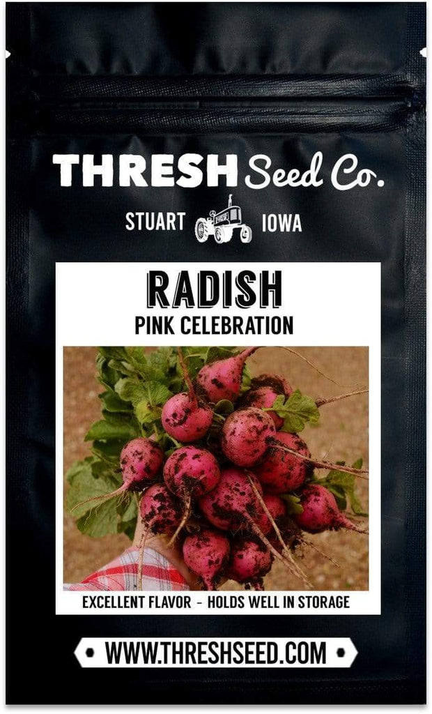 Pink Celebration Radish Seeds