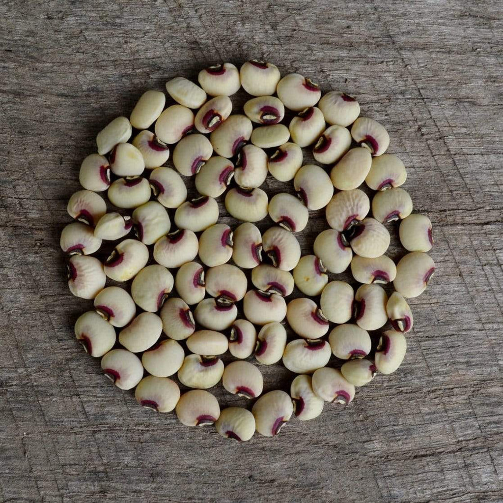 Pink-Eyed Purple Hull Cowpea Seeds