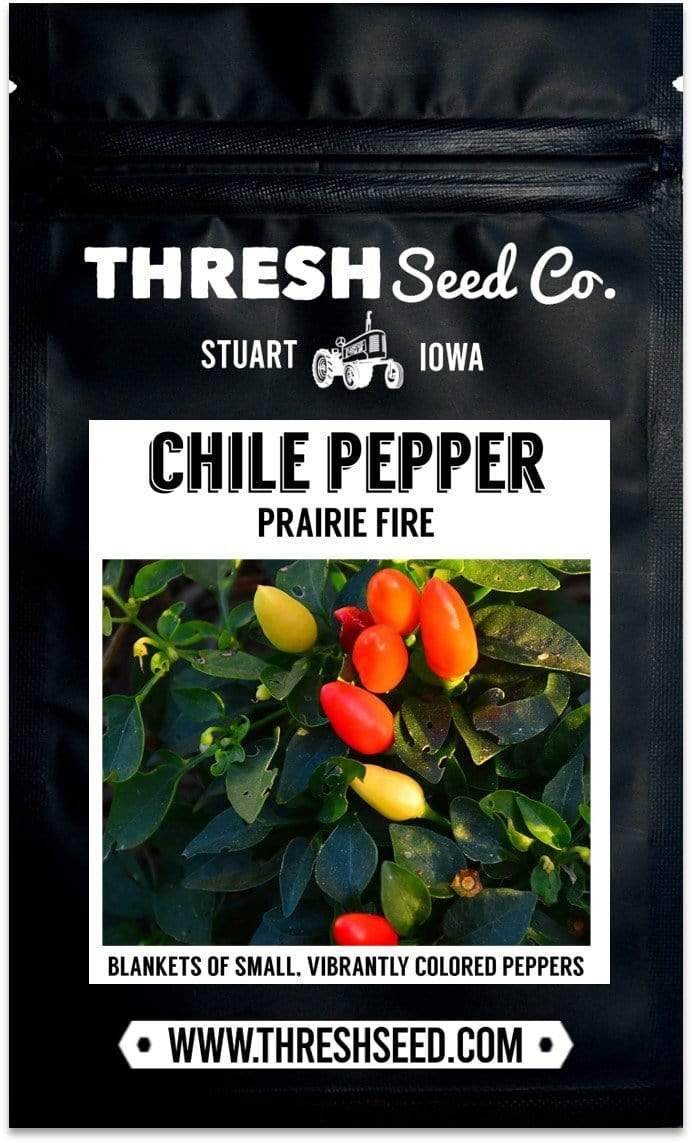 Prairie Fire Chile Pepper Seeds
