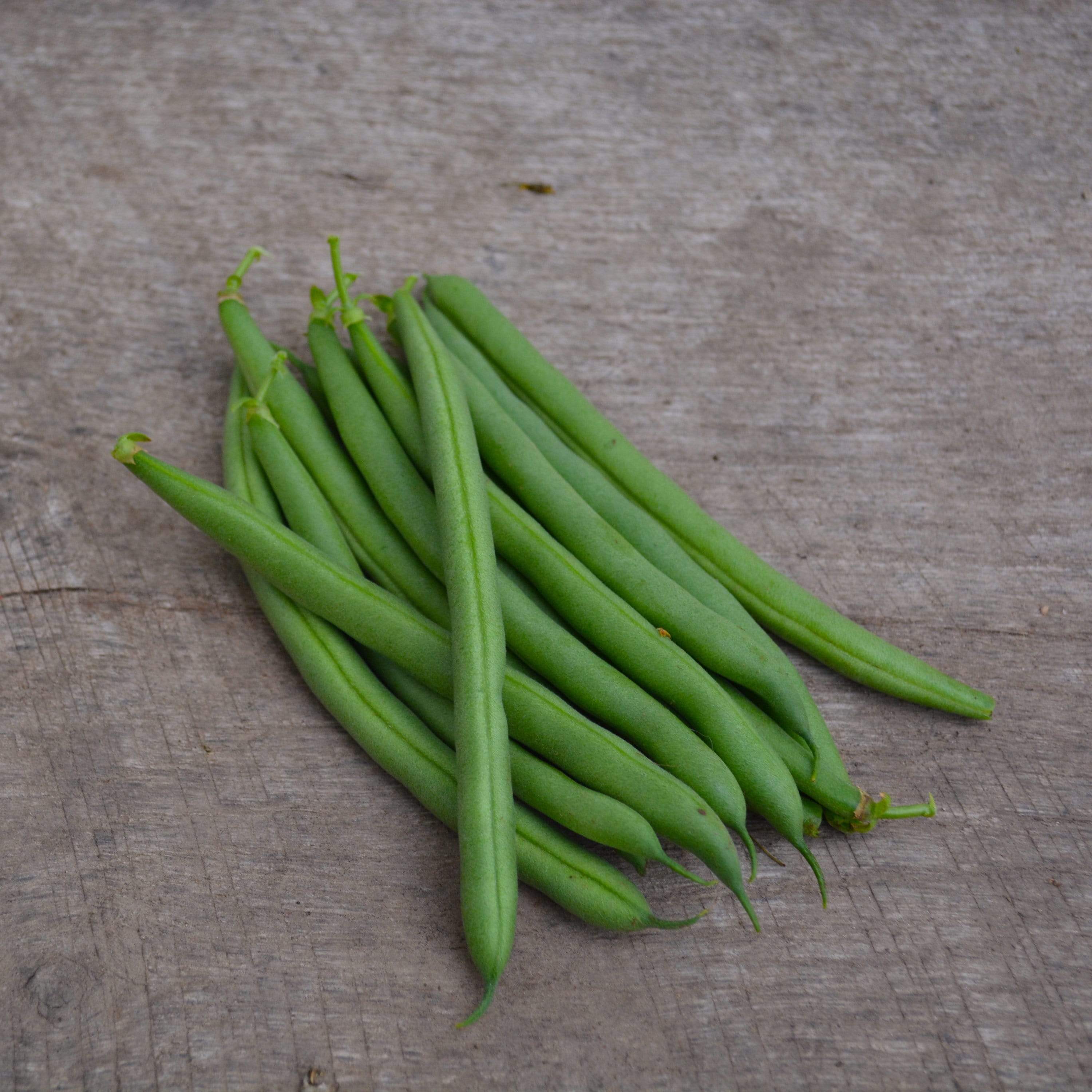 Prevail Snap Beans