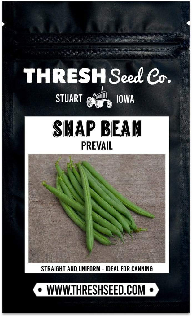 Prevail Snap Bean Seeds